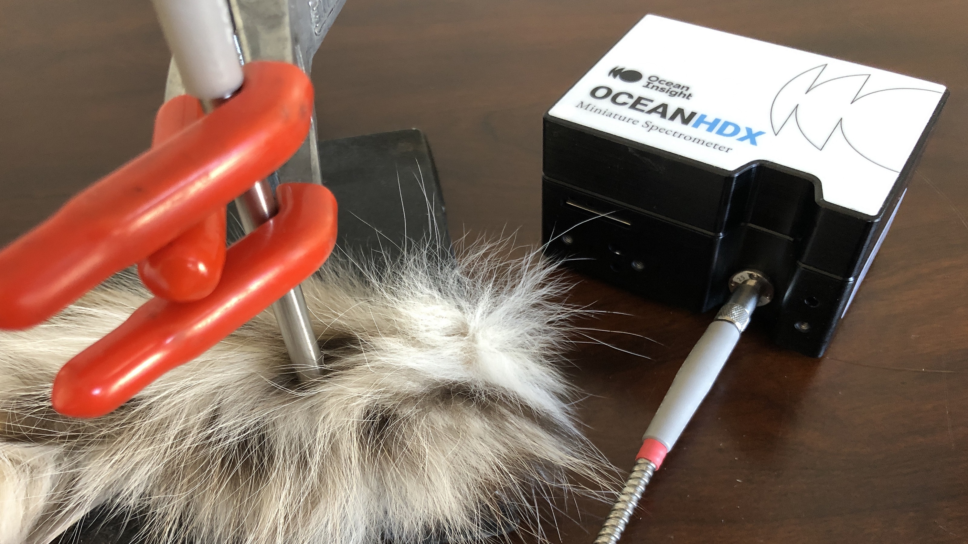 反射测量装置由Ocean Insight光谱仪、宽带光源和反射探头组成。亚博最新网站多少漫反射白色标准是参考。