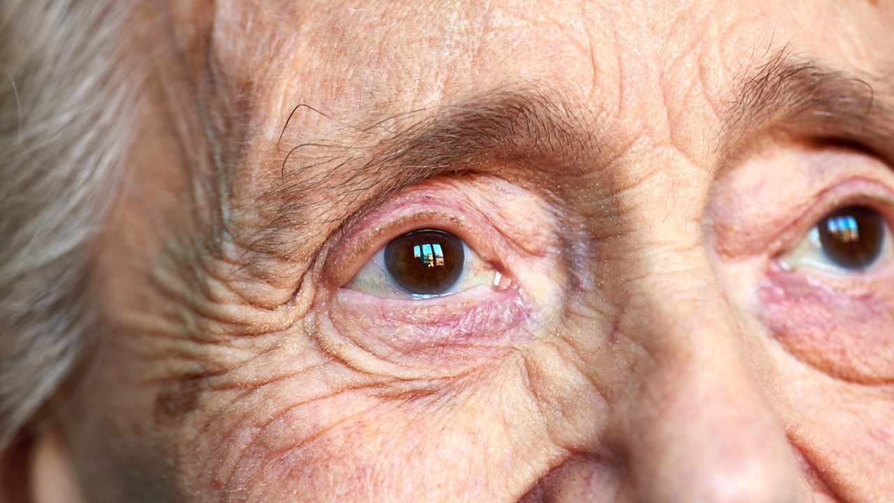 一个老人的眼睛