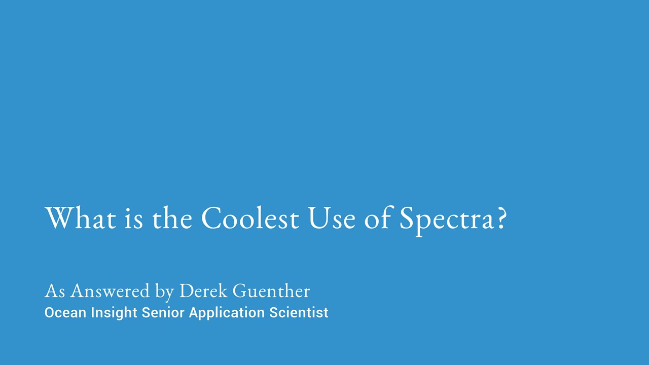 德里克·冈瑟(Derek Guenther)出现在《Insight Bites》节目中