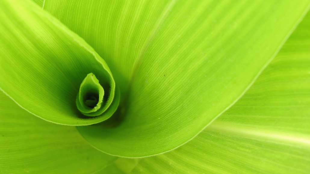 Irradiance Measurement