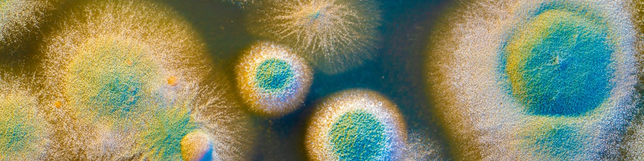 海洋实验室服务自定义洞察英雄