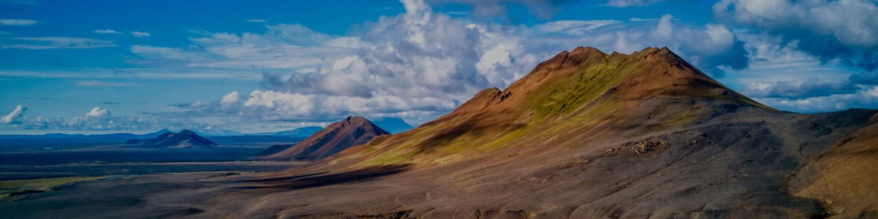 标准和政策英雄