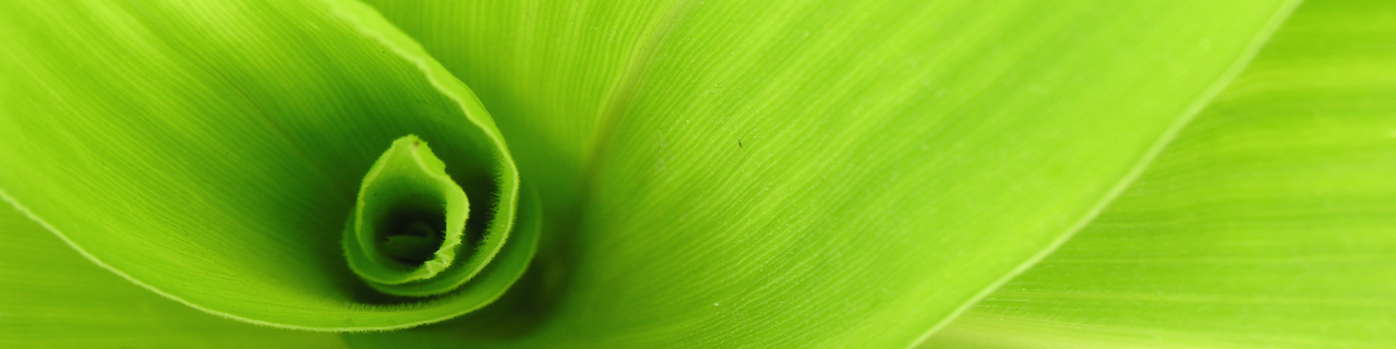 辐照度的英雄形象