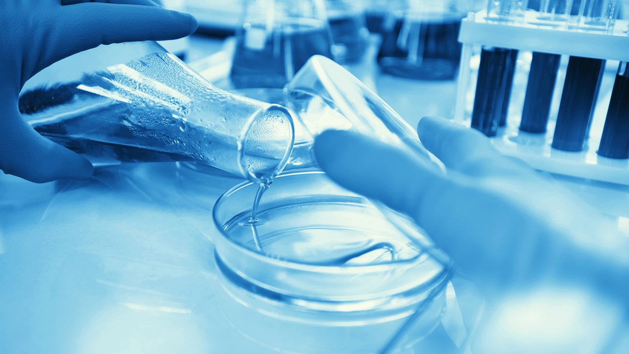 ocean lab services
