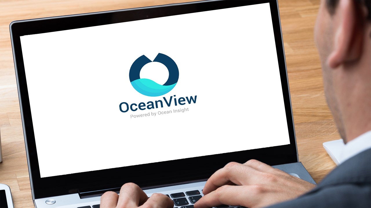 Ocean View hero image